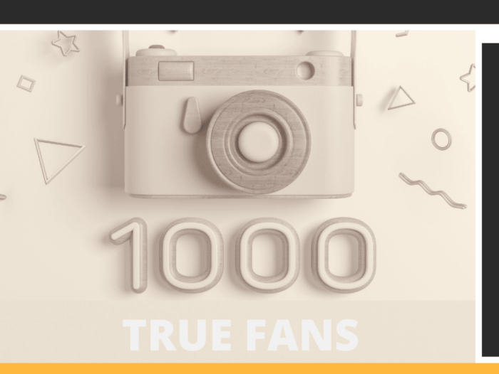 1000 true fans - Indiy