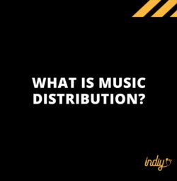 What is Music Distribution